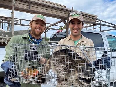 Columbus pest control